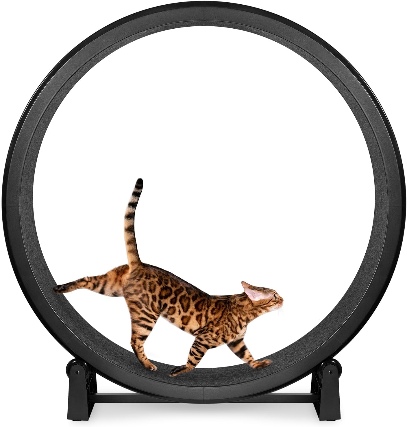 One Fast Cat - Cat Exercise Wheel - Gen. 7