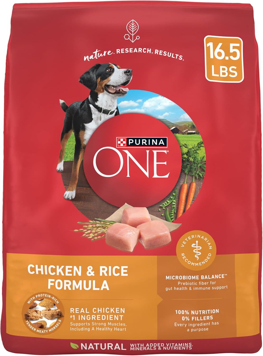 Purina ONE Chicken and Rice Formula