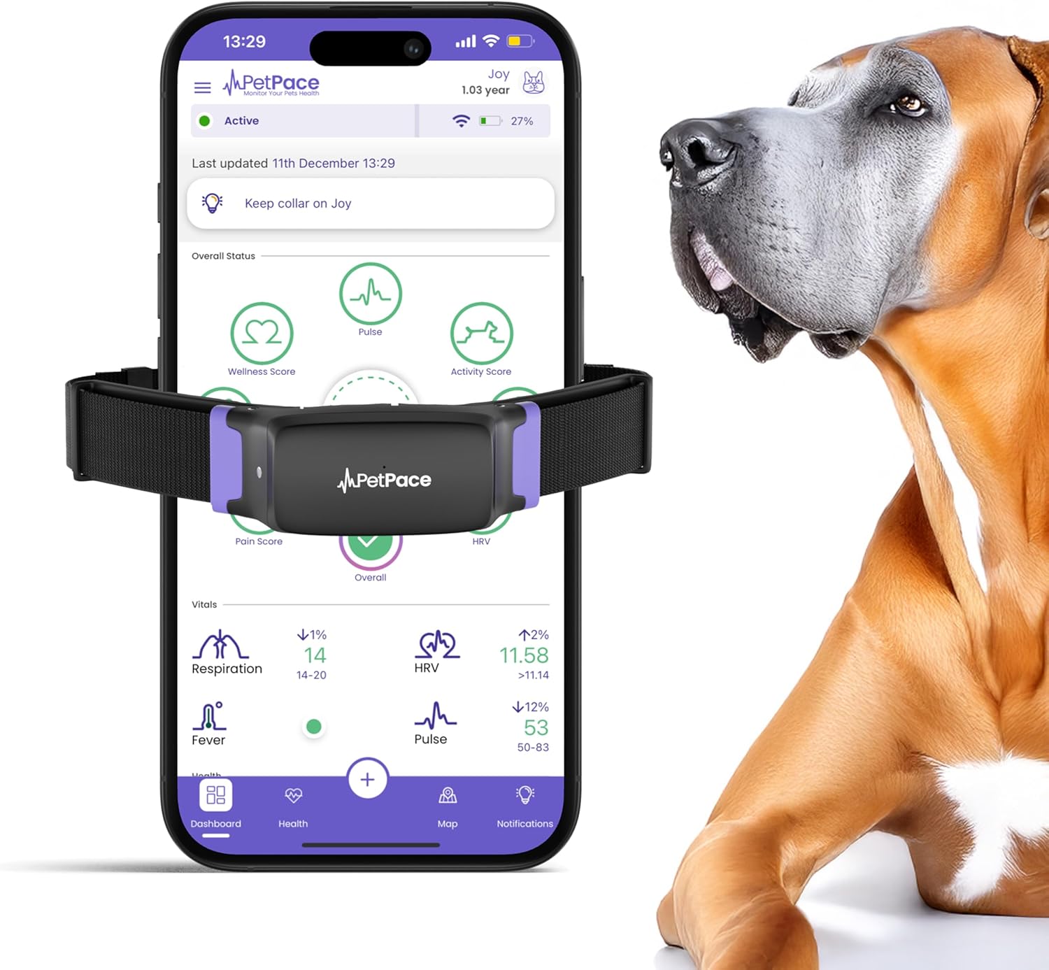 PetPace AI Health Monitor & GPS Tracker